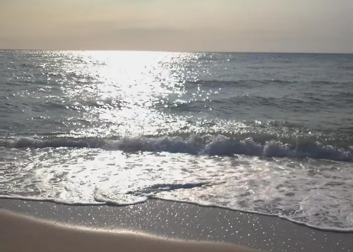 White House Будинок відпочинку