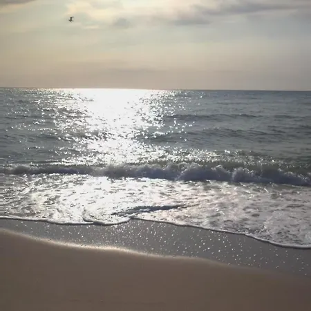 White House Holiday home