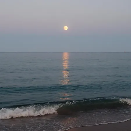 White House Dom wakacyjny *