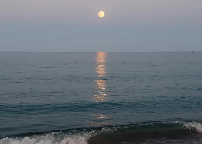 White House Dom wakacyjny *